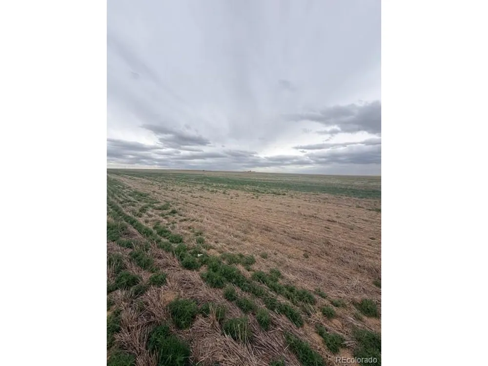 WCR 81 and Co Rd 8 Roggen, CO 80652