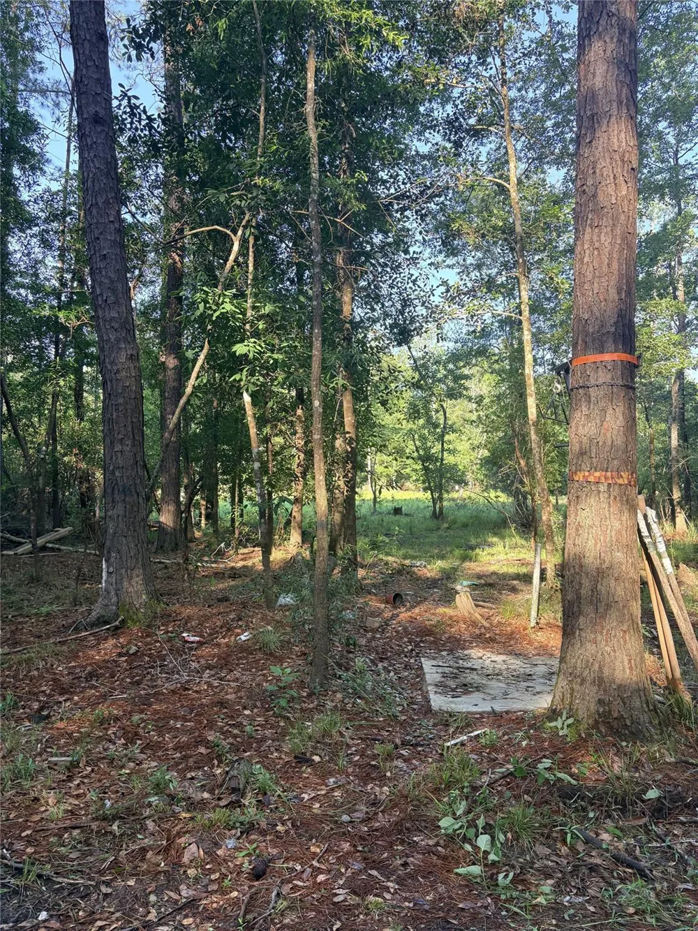 9470 Village Creek Road Silsbee, TX 77656