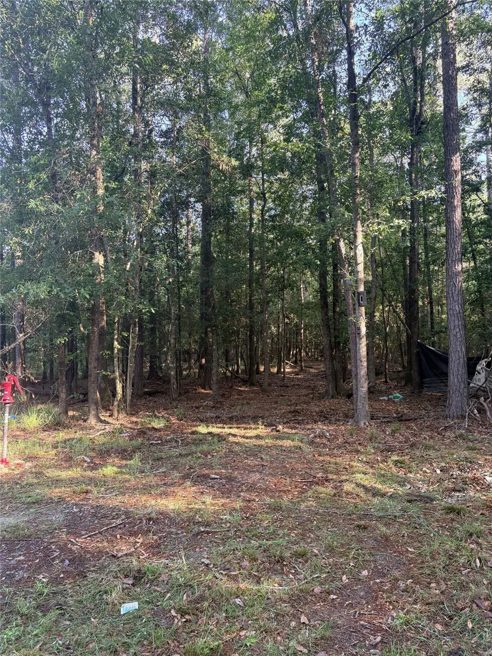 9470 Village Creek Road Silsbee, TX 77656