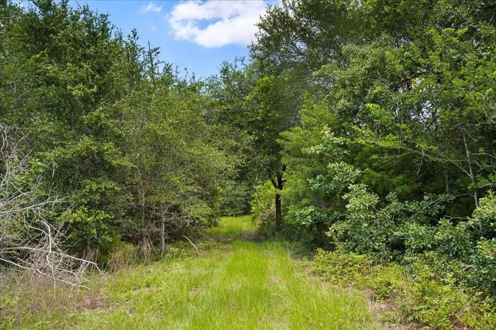 7824 Waldeck Cemetery Road Round Top, TX 78954