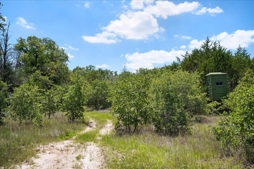 7824 Waldeck Cemetery Road Round Top, TX 78954