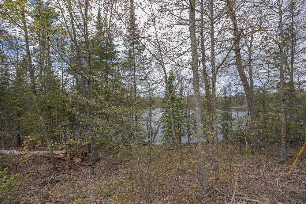 1169 Wabedo Pass Road NE Longville, MN 56655