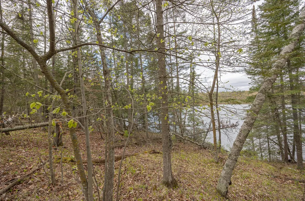 1169 Wabedo Pass Road NE Longville, MN 56655
