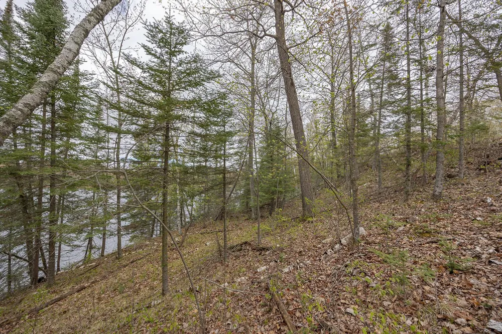 1169 Wabedo Pass Road NE Longville, MN 56655