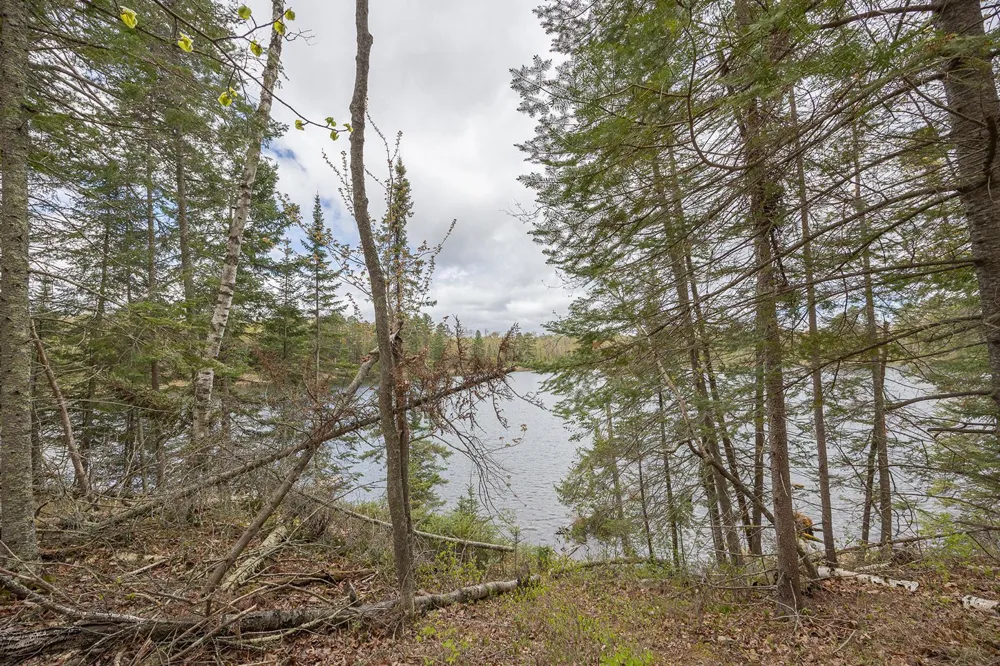1169 Wabedo Pass Road NE Longville, MN 56655