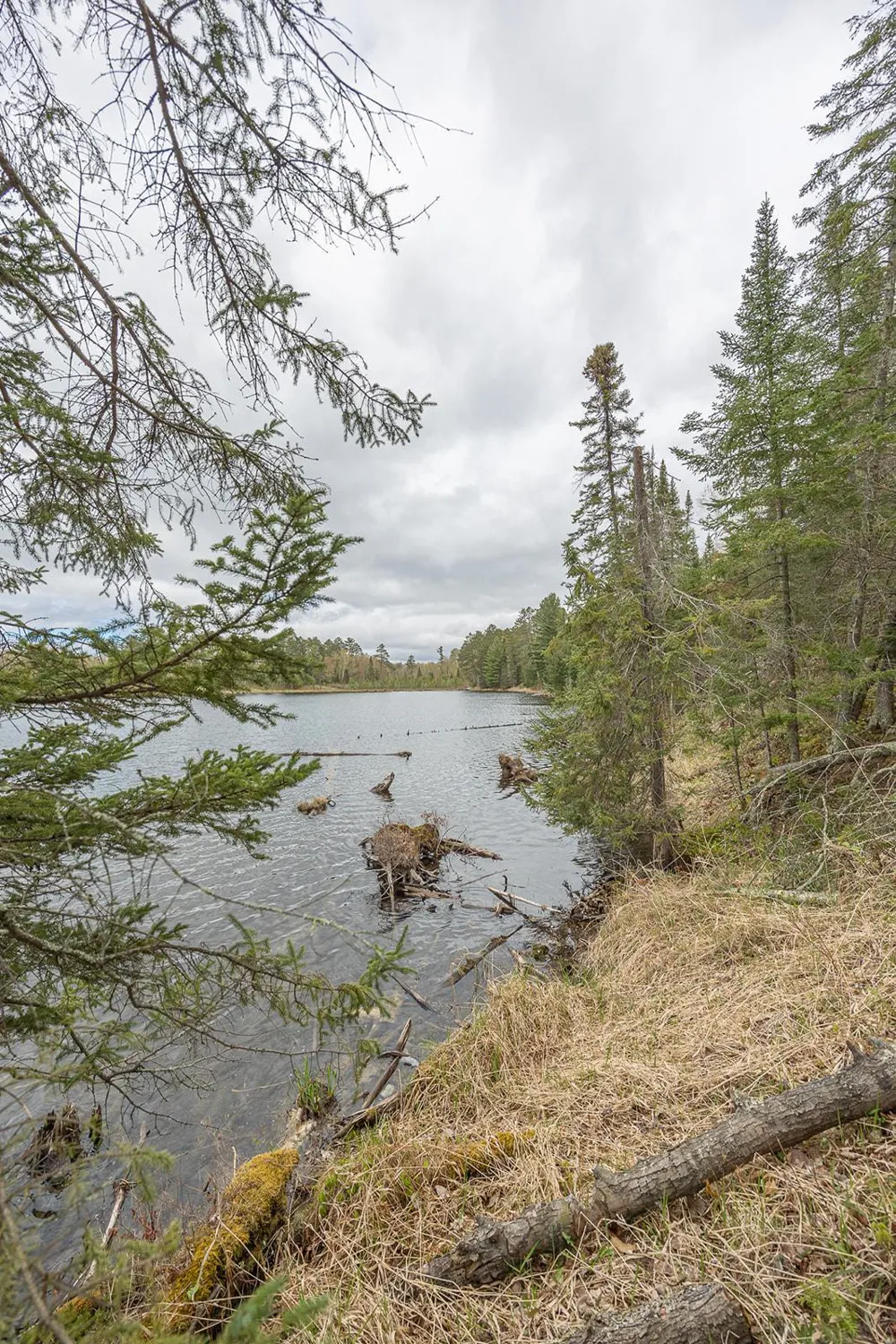 1169 Wabedo Pass Road NE Longville, MN 56655