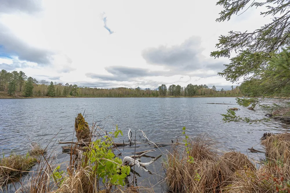 1169 Wabedo Pass Road NE Longville, MN 56655