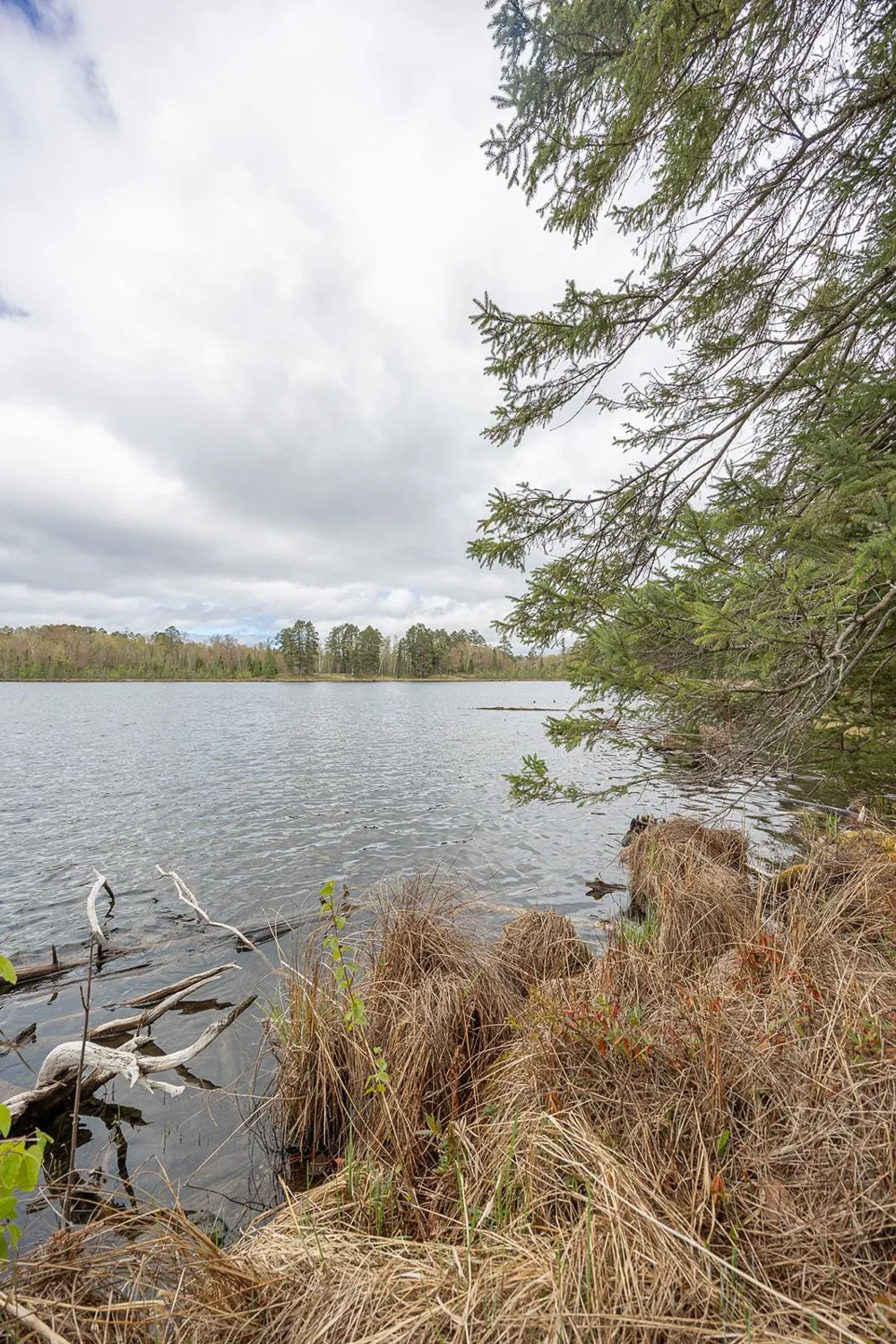 1169 Wabedo Pass Road NE Longville, MN 56655