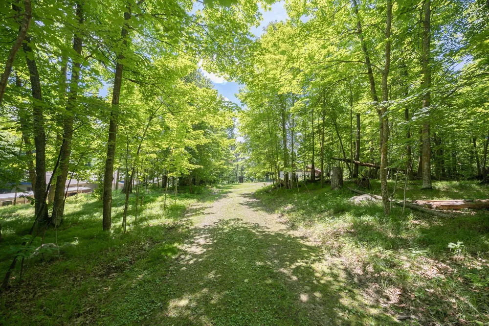 1169 Wabedo Pass Road NE Longville, MN 56655