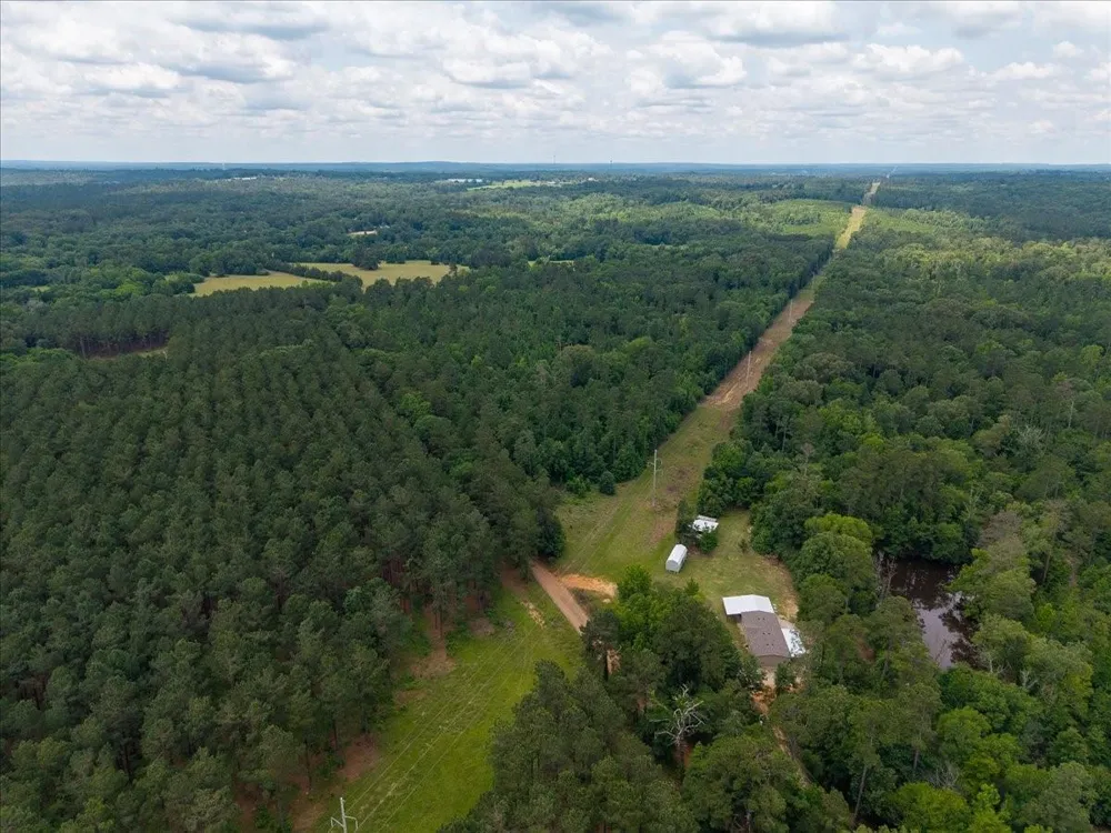Williams Rd Garrison, TX 75946