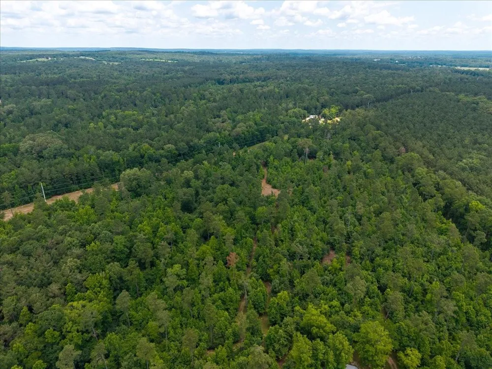 Williams Rd Garrison, TX 75946