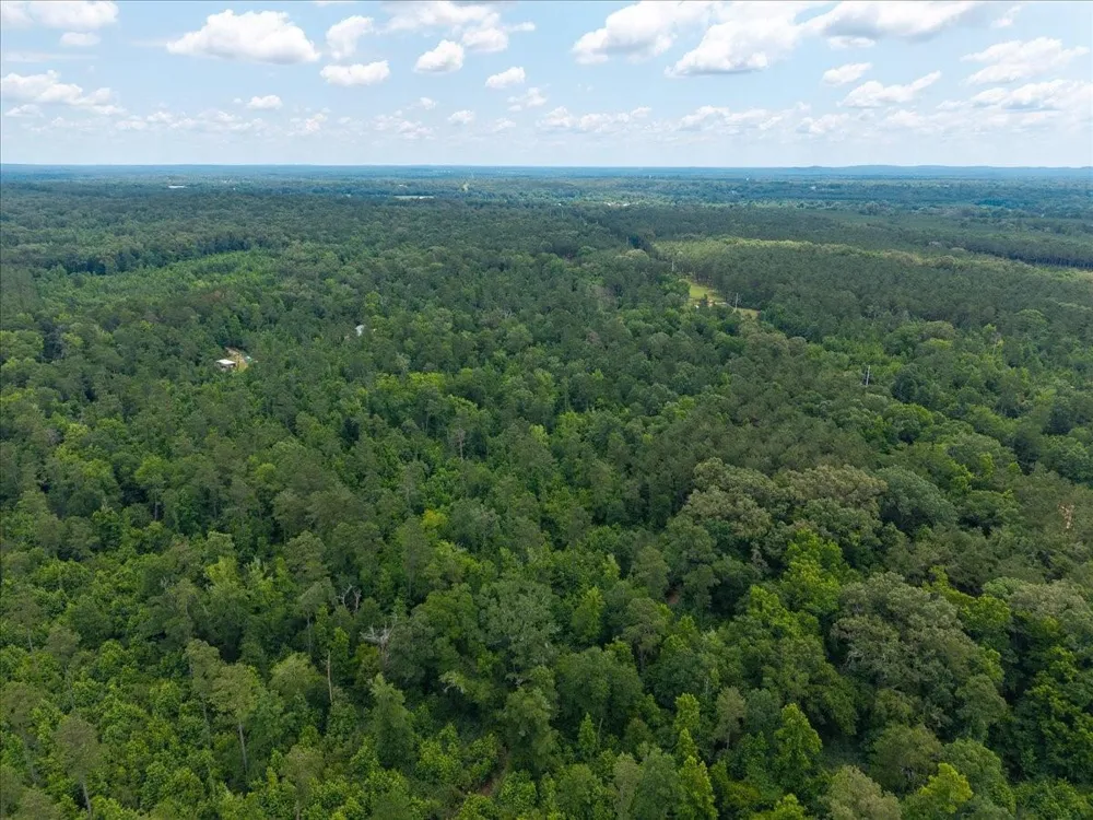 Williams Rd Garrison, TX 75946