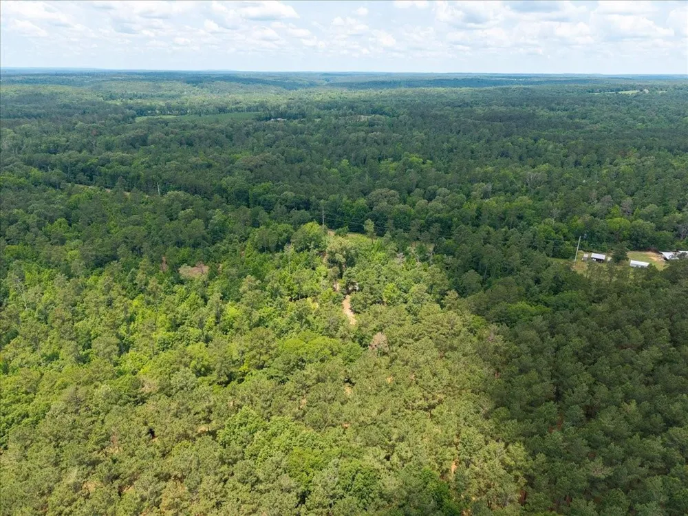 Williams Rd Garrison, TX 75946