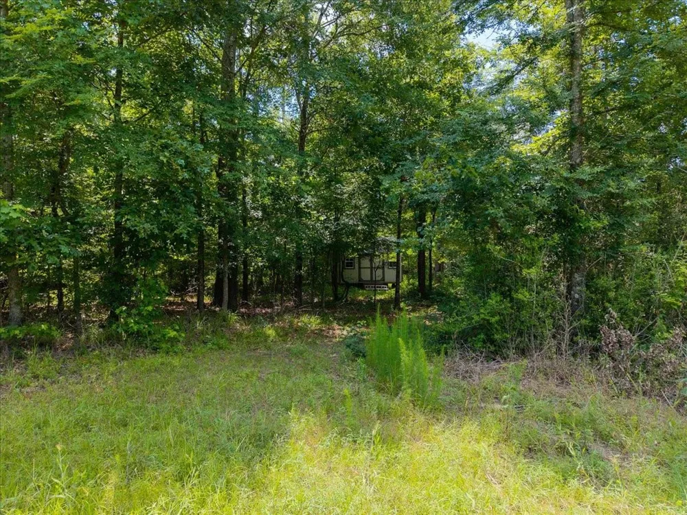 Williams Rd Garrison, TX 75946