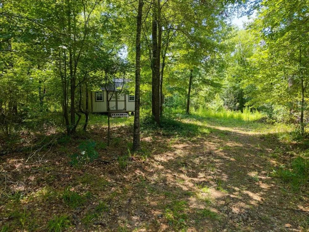 Williams Rd Garrison, TX 75946