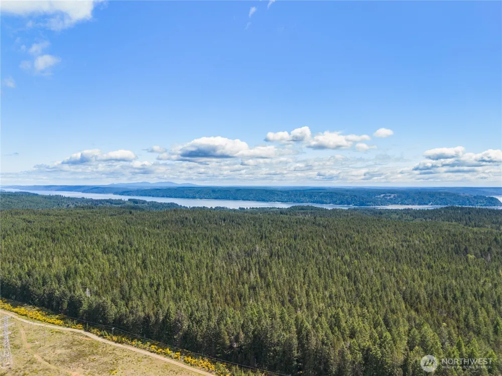 51 Coho Court Hoodsport, WA 98548