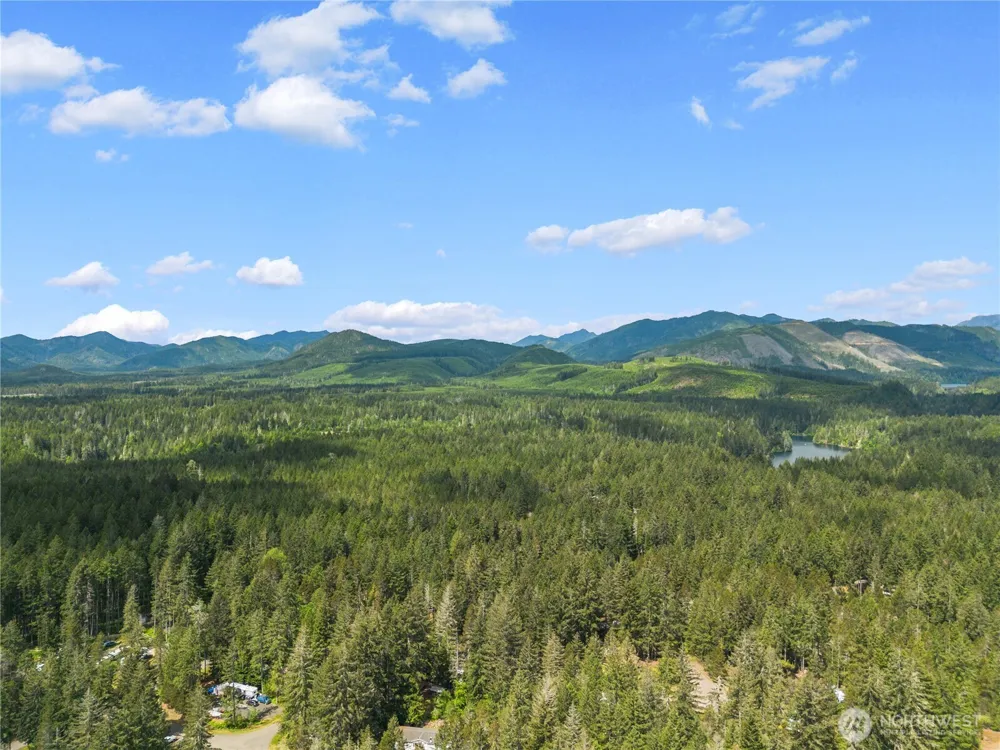 51 Coho Court Hoodsport, WA 98548