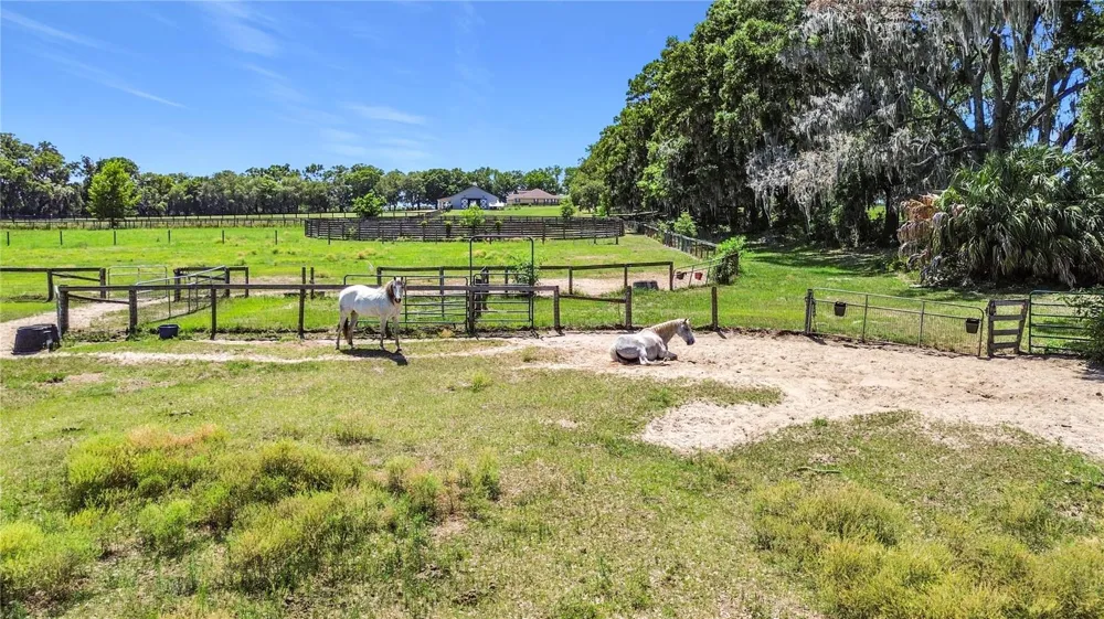 20540 SW 5TH PLACE Dunnellon, FL 34431