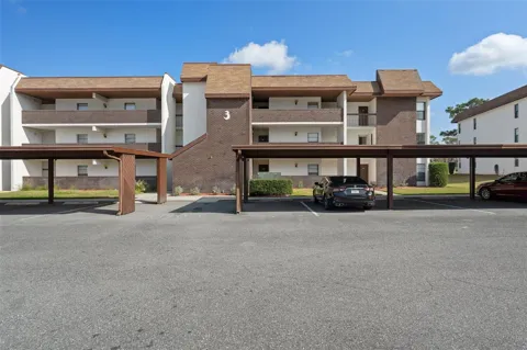 3 CYPRESS RUN #35A