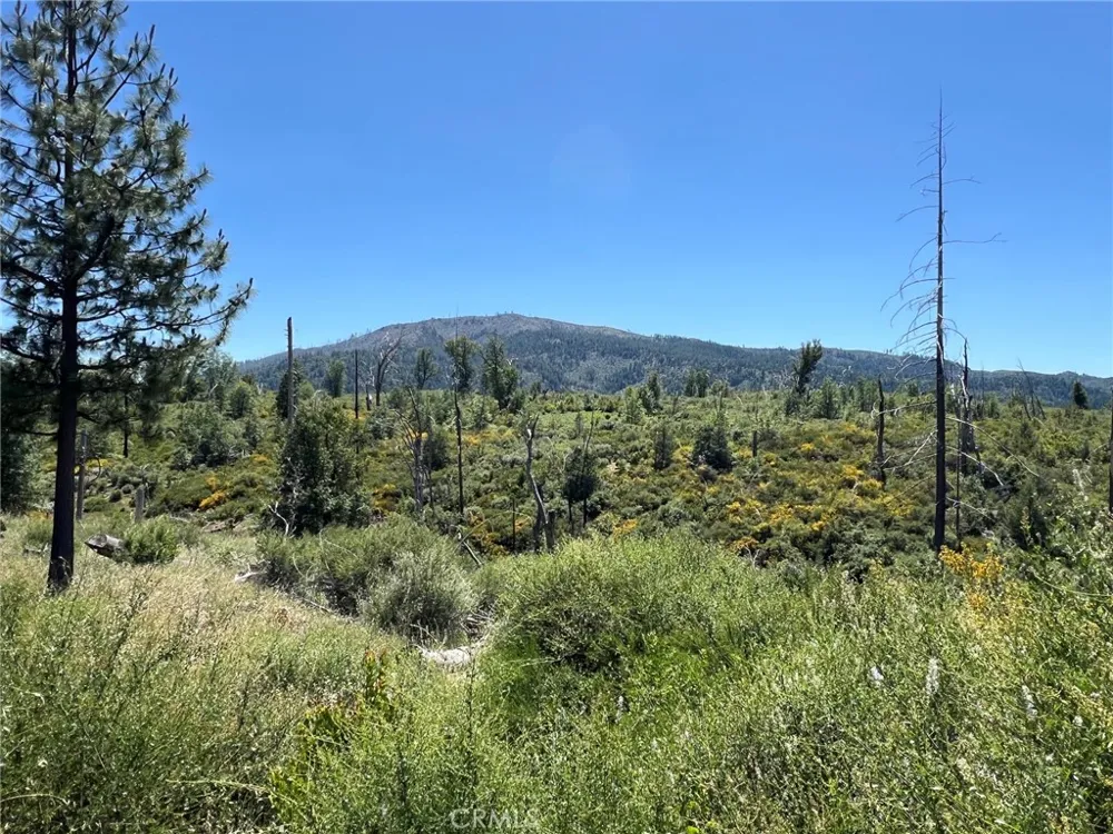9284 Bleuss Way Cobb, CA 95426