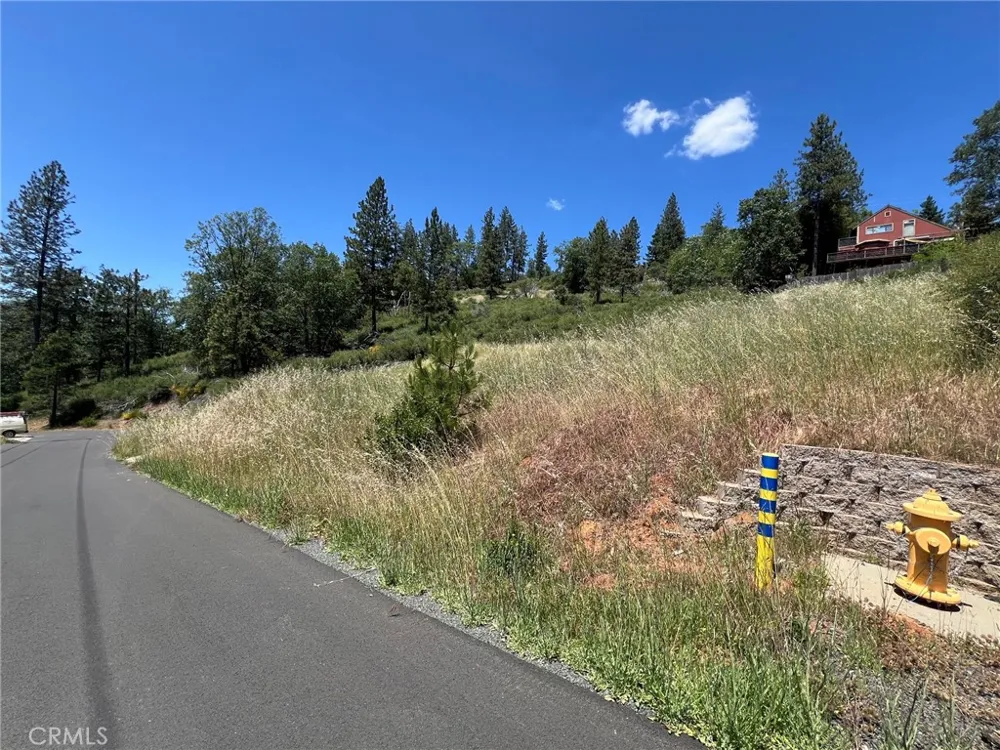 9284 Bleuss Way Cobb, CA 95426