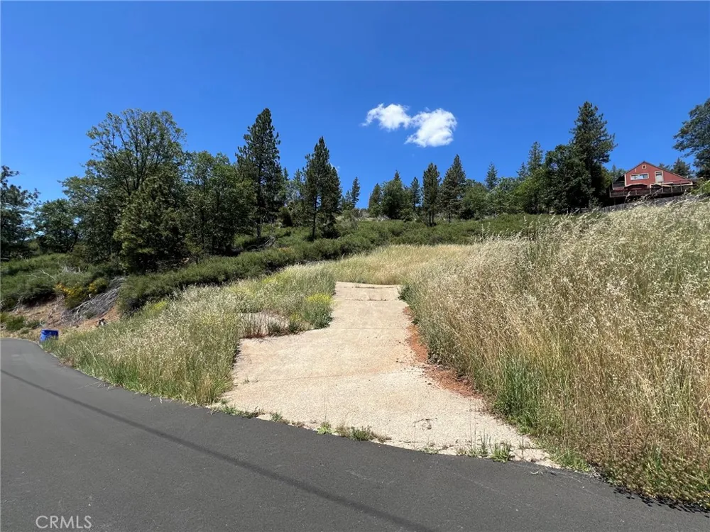 9284 Bleuss Way Cobb, CA 95426