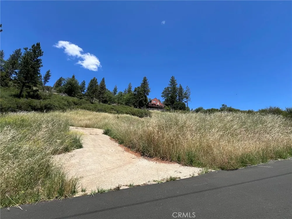 9284 Bleuss Way Cobb, CA 95426