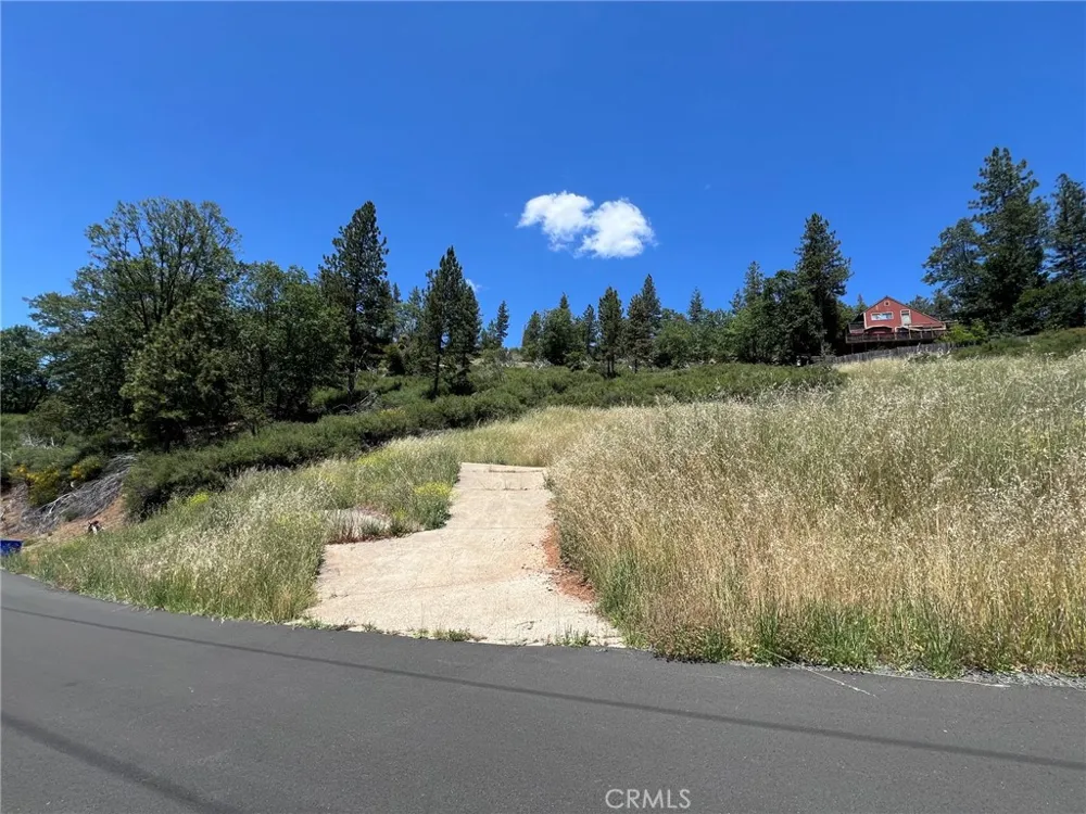 9284 Bleuss Way Cobb, CA 95426