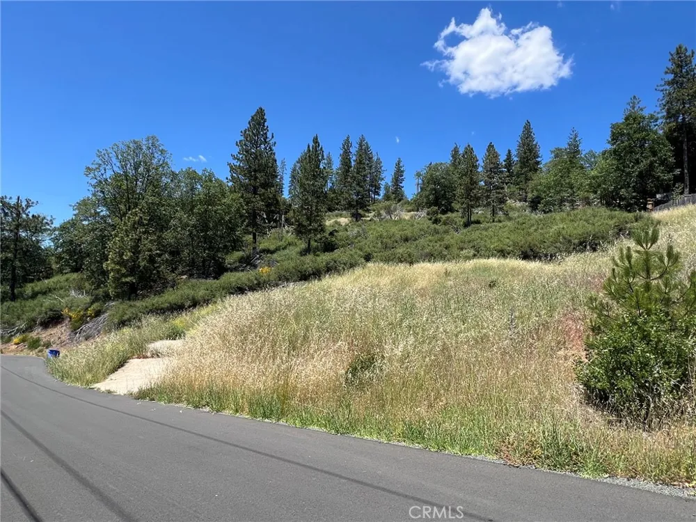 9284 Bleuss Way Cobb, CA 95426