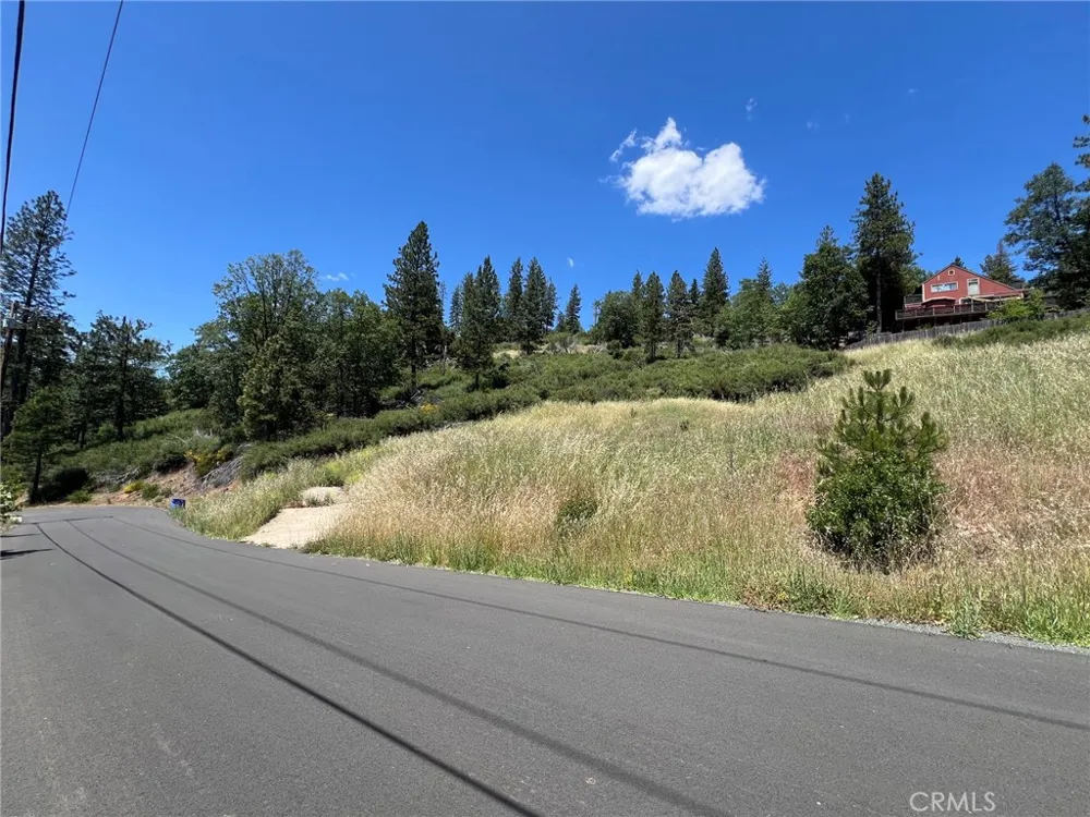 9284 Bleuss Way Cobb, CA 95426
