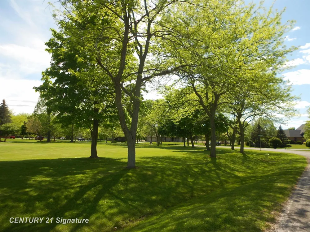 Sunningdale Street Kochville Township, MI 48604