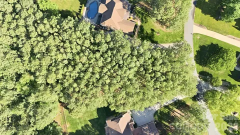 158 Blue Ridge Trail