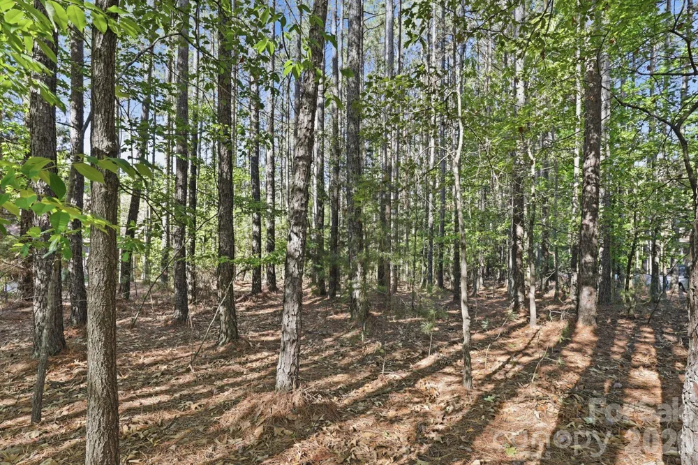 158 Blue Ridge Trail Mooresville, NC 28117