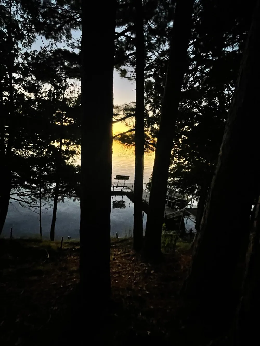 4565 Spinner Trail NE Remer, MN 56672