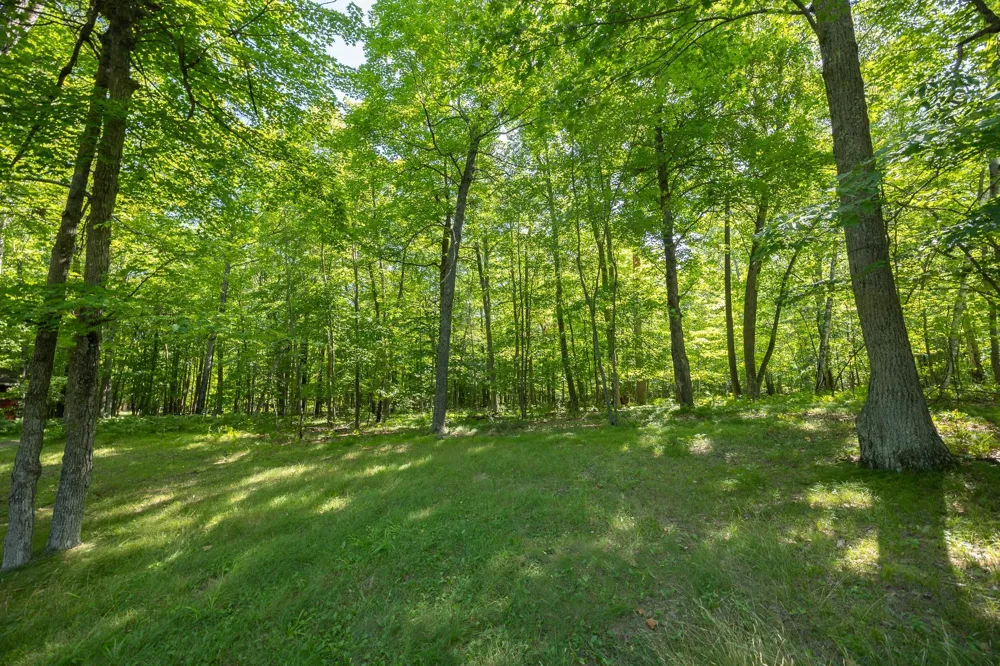 4565 Spinner Trail NE Remer, MN 56672