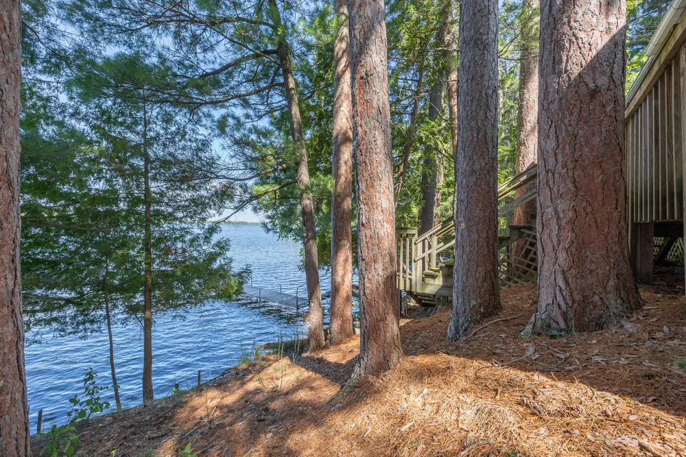 4565 Spinner Trail NE Remer, MN 56672