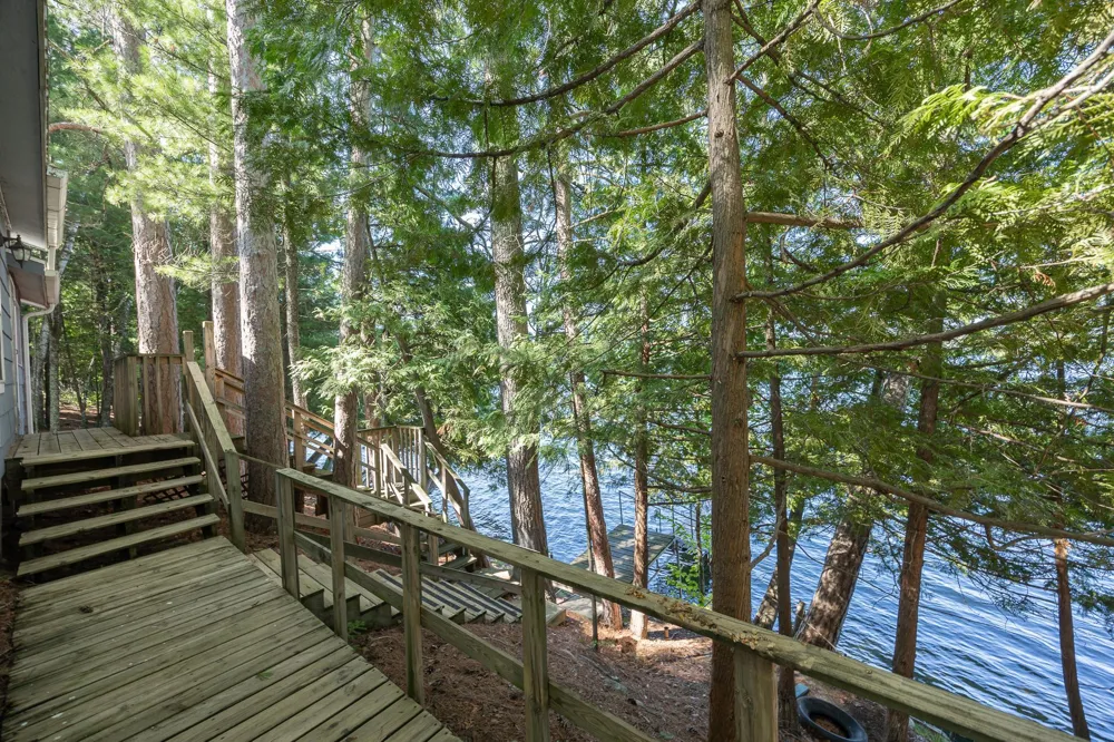 4565 Spinner Trail NE Remer, MN 56672