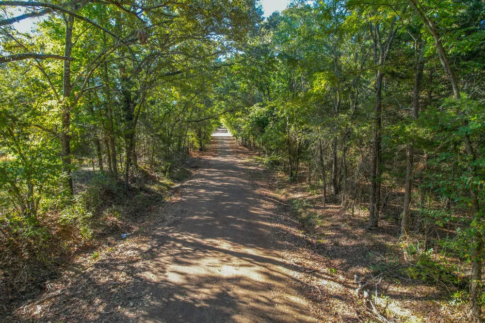 7821 Cr 3409 Chandler, TX 75758