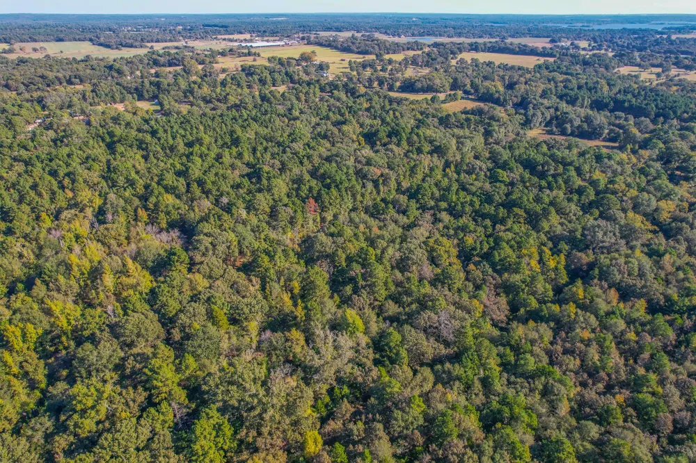 7821 Cr 3409 Chandler, TX 75758