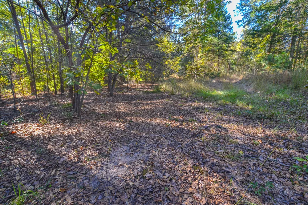 7821 Cr 3409 Chandler, TX 75758