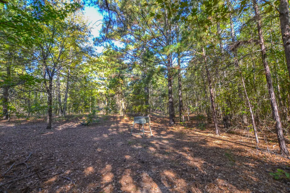 7821 Cr 3409 Chandler, TX 75758