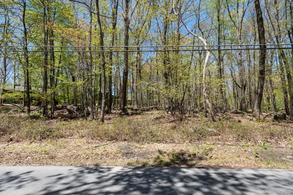 Wolf Pond Road Wurtsboro, NY 12790