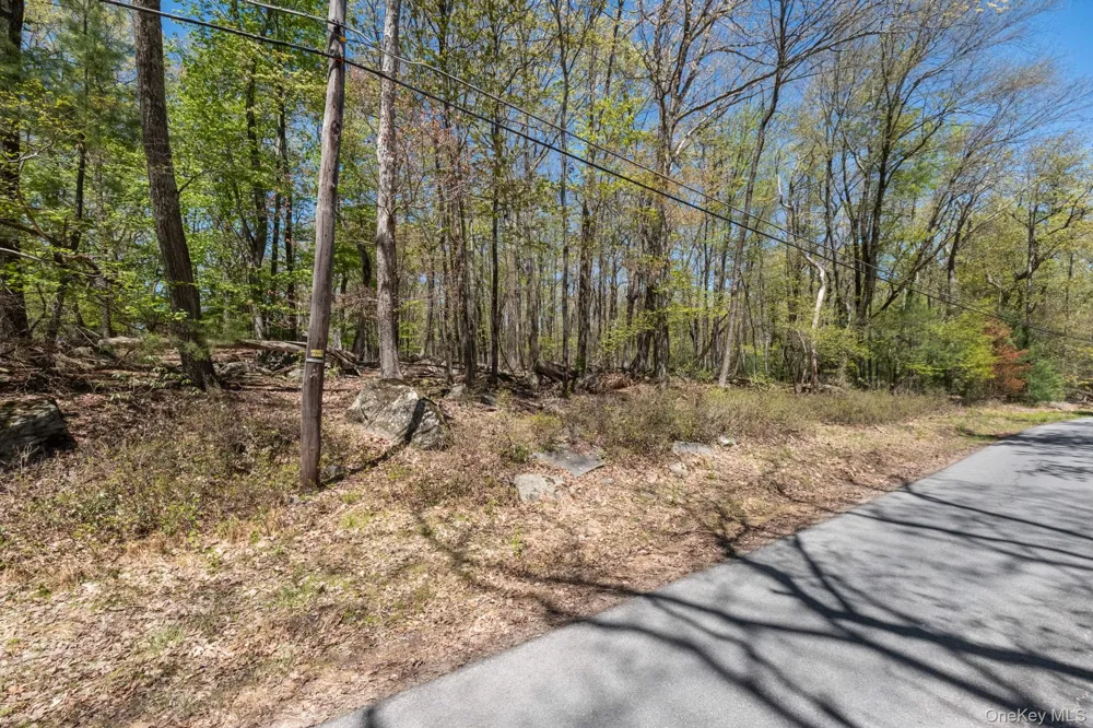 Wolf Pond Road Wurtsboro, NY 12790