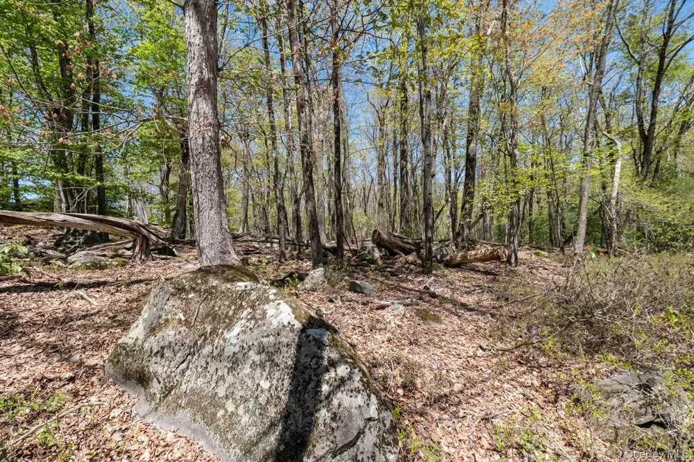 Wolf Pond Road Wurtsboro, NY 12790