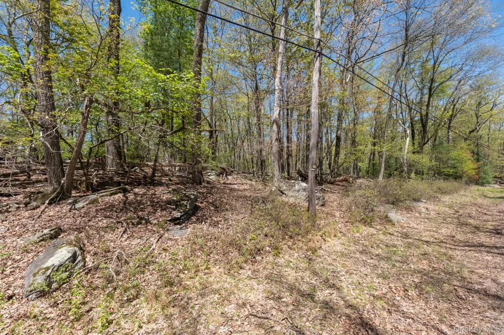 Wolf Pond Road Wurtsboro, NY 12790