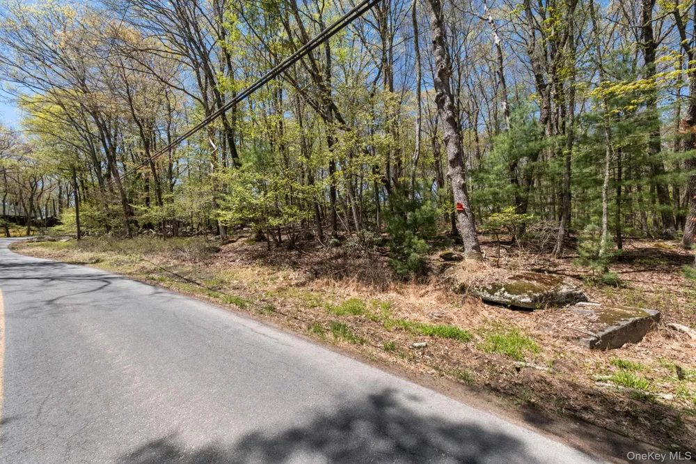 Wolf Pond Road Wurtsboro, NY 12790