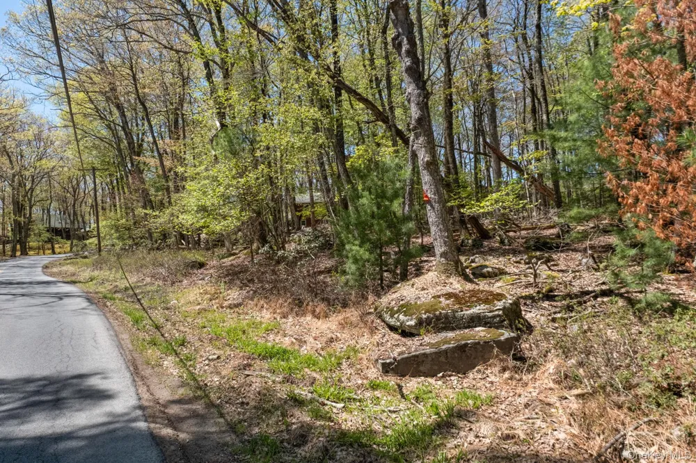 Wolf Pond Road Wurtsboro, NY 12790