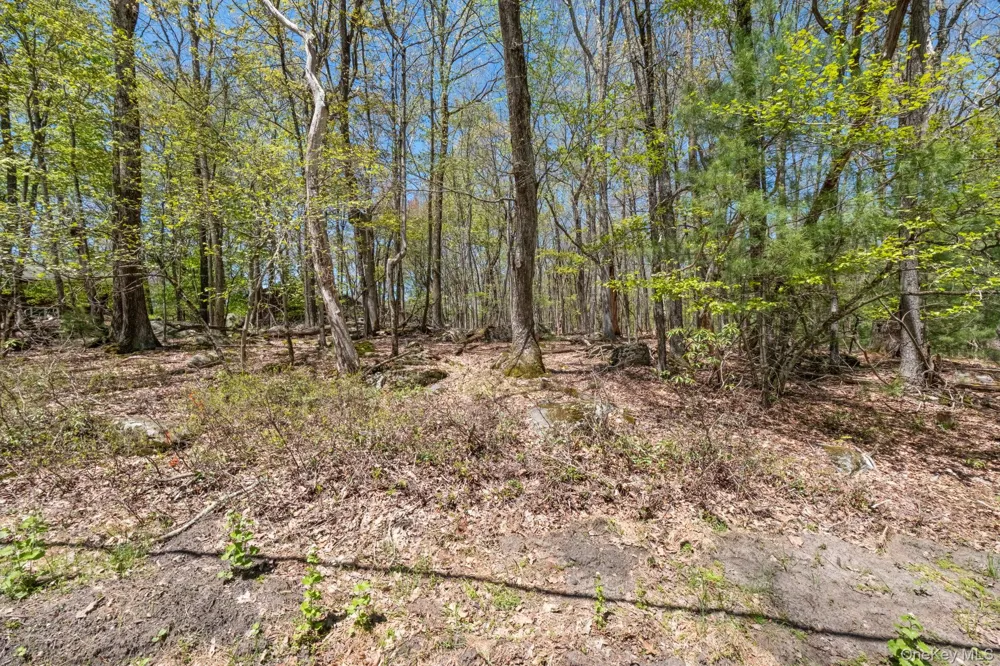 Wolf Pond Road Wurtsboro, NY 12790
