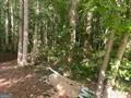 578 Bristle Cone DR