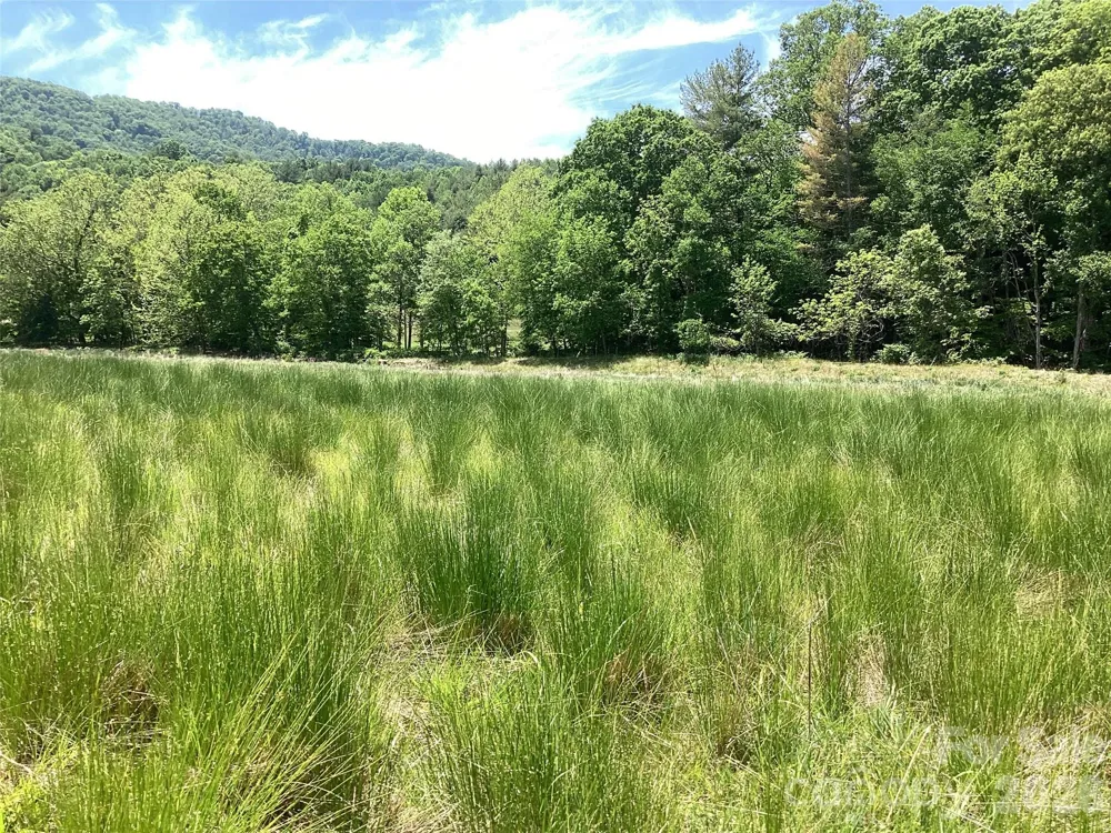 00 Bolens Creek Road Burnsville, NC 28714